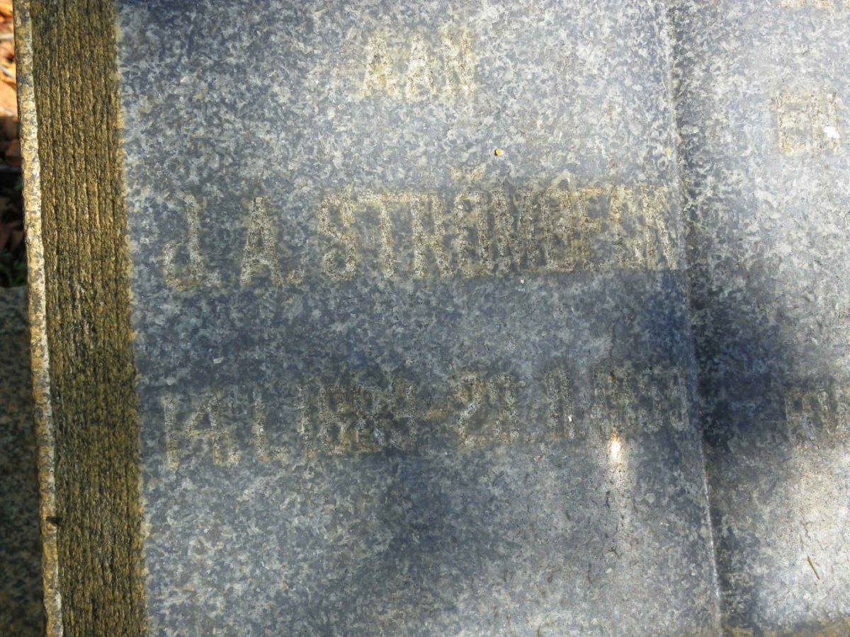STROMBECK J.A. 1889-1959