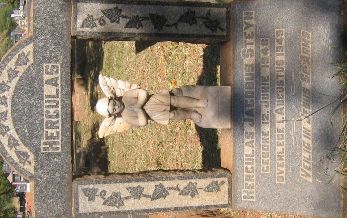 STEYN Herculas Jacobus 1948-1949