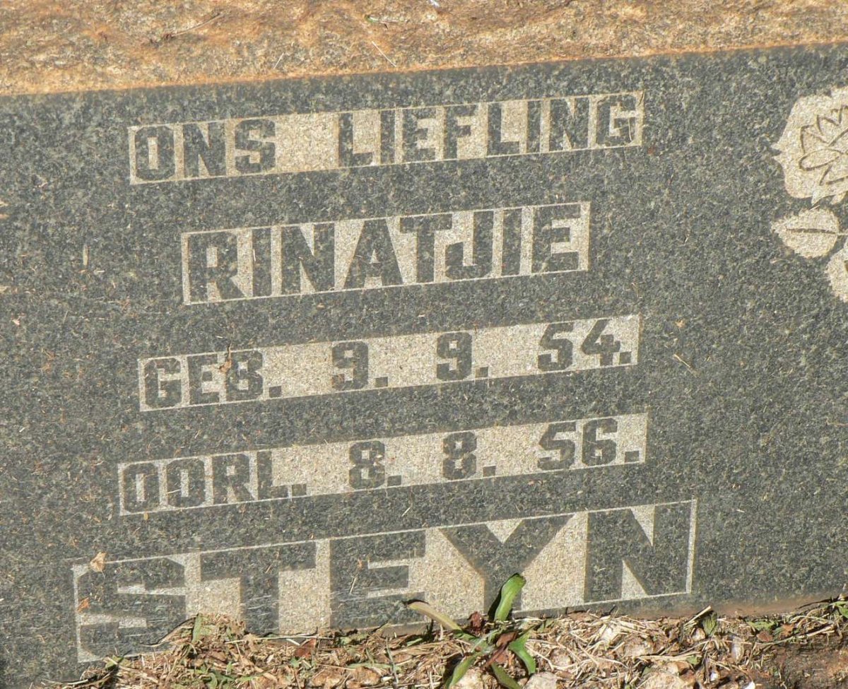 STEYN Rinatjie 1954-1956