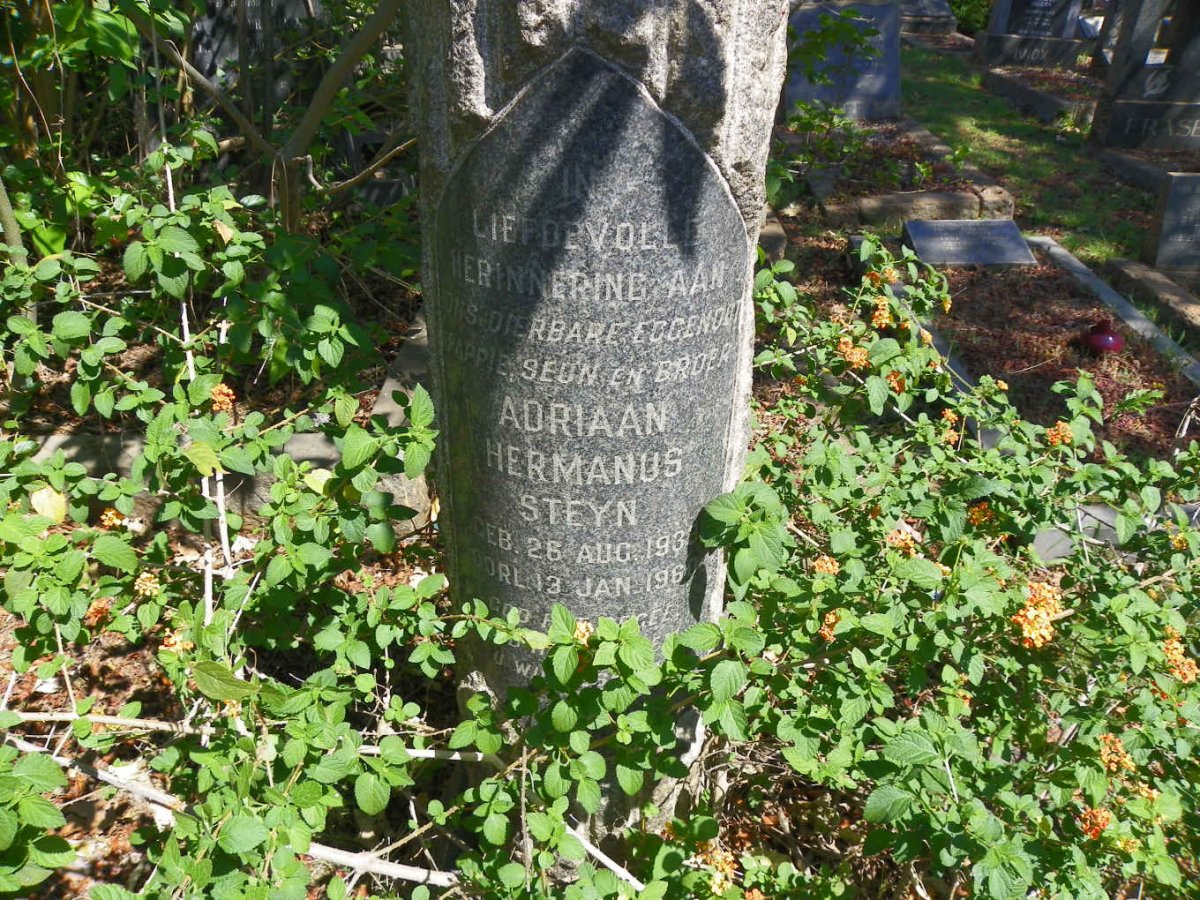 STEYN Adriaan Hermanus 1933-1960