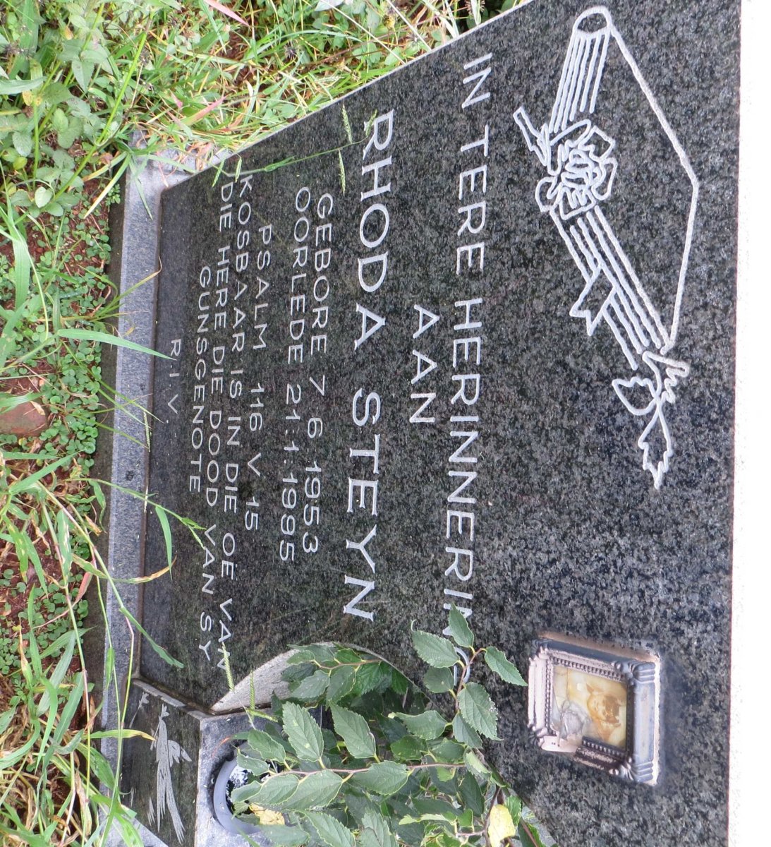 STEYN Rhoda 1953-1995
