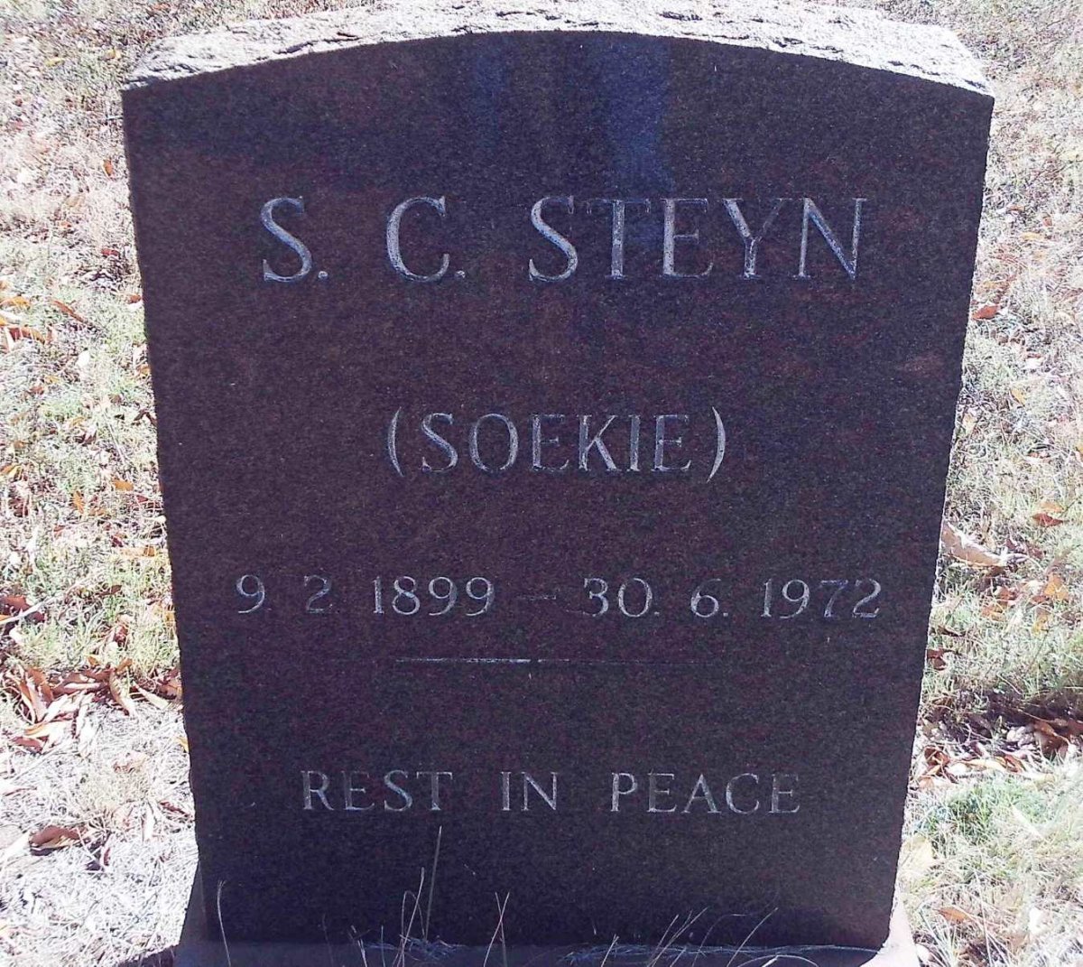 STEYN S.C. 1899-1972