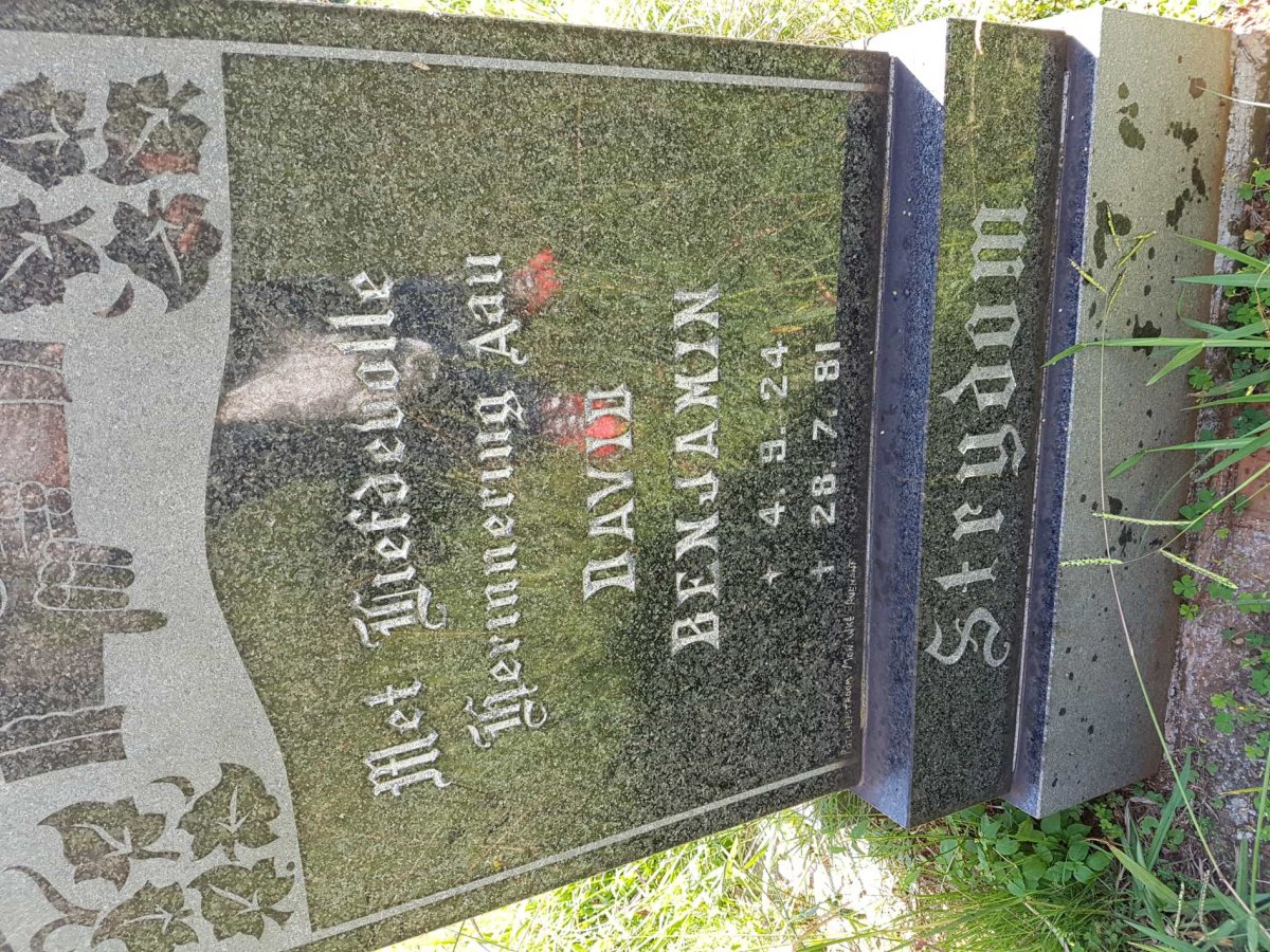 STRYDOM David Benjamin 1924-1981