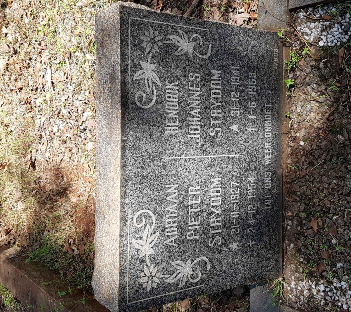 STRYDOM Adriaan Pieter 1927-1954 :: STRYDOM Hendrik Johannes 1941-1963