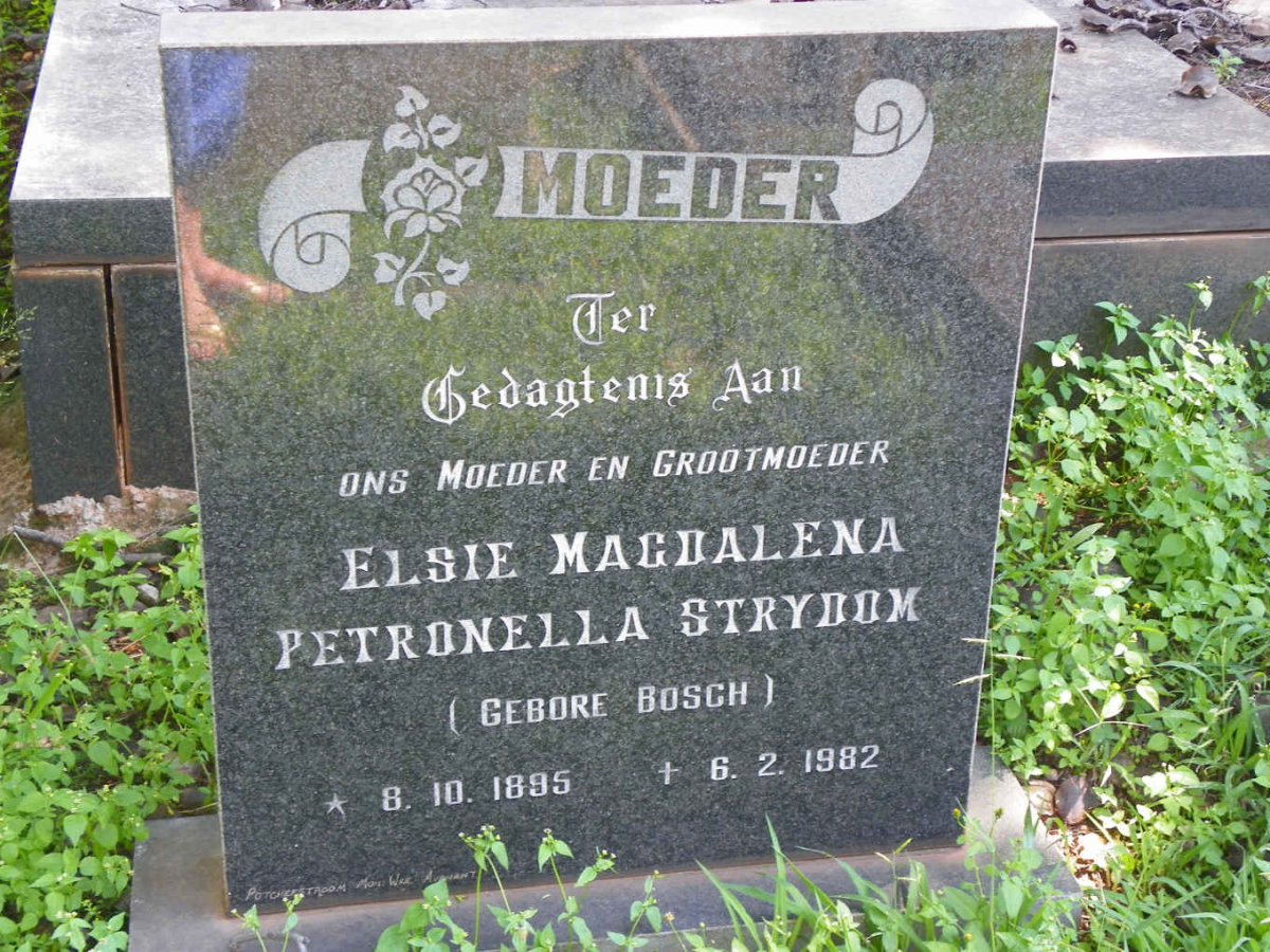 STRYDOM Elsie Magdalena Petronella nee BOSCH 1895-1982