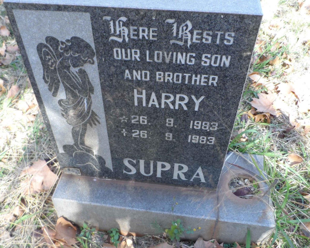 SUPRA Harry 1983-1983