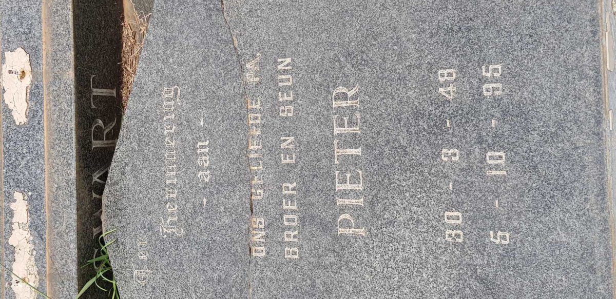 SWART Pieter 1948-1995