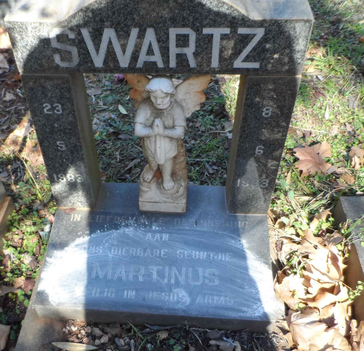 SWARTZ Martinus 1983-1983