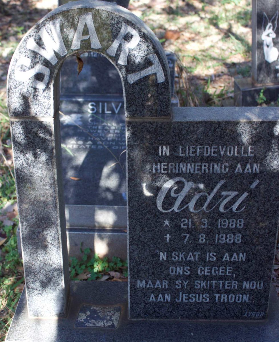 SWART Adri 1988-1988