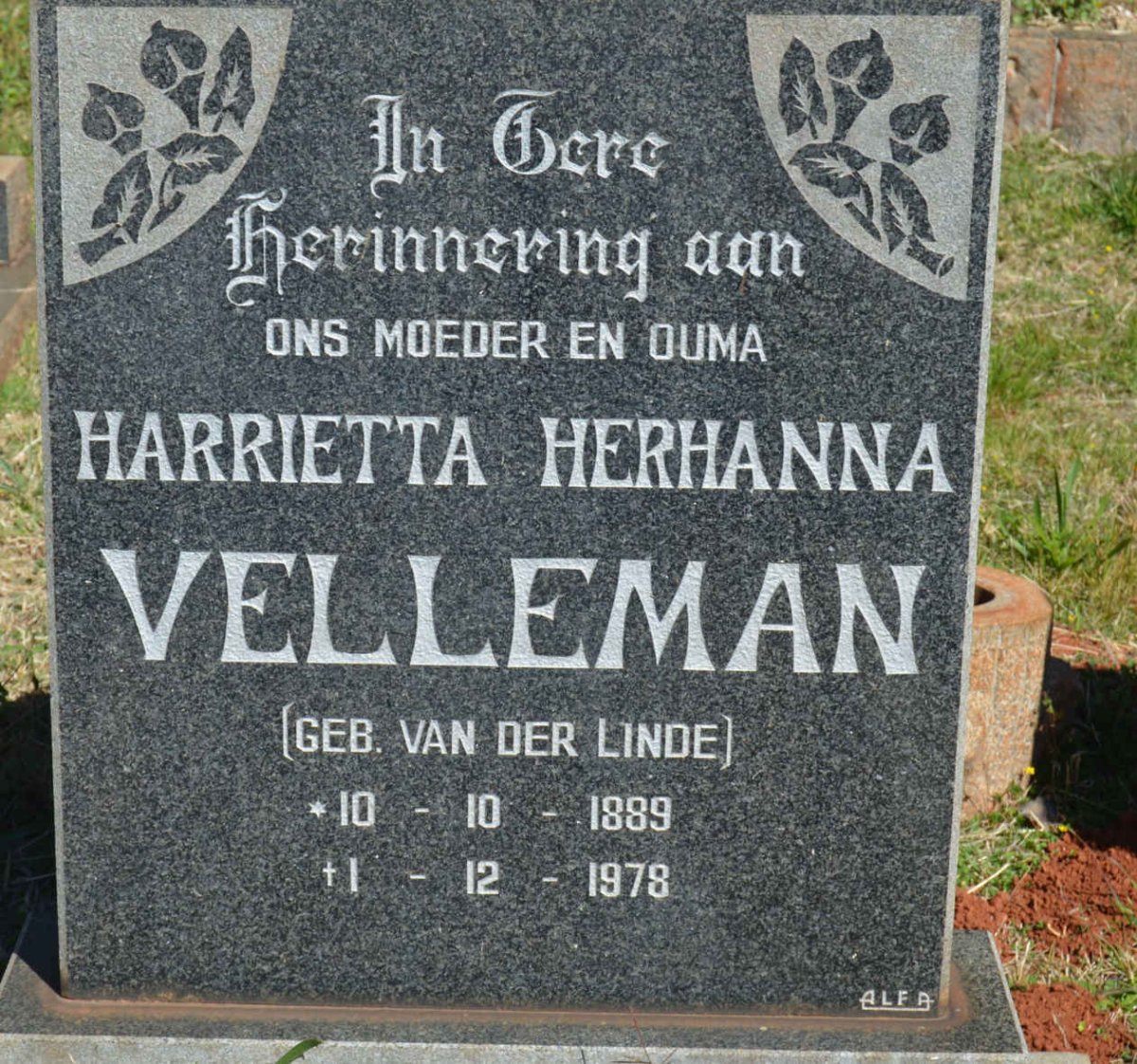 VELLEMAN Harrietta Herhanna nee VAN DER LINDE 1889-1978