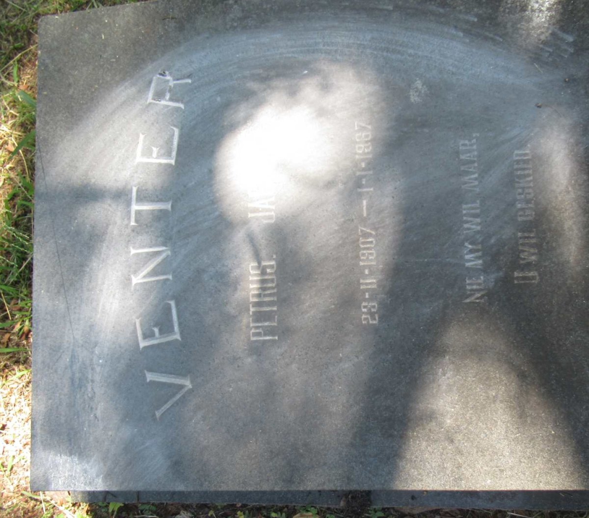 VENTER Petrus J. 1907-1967