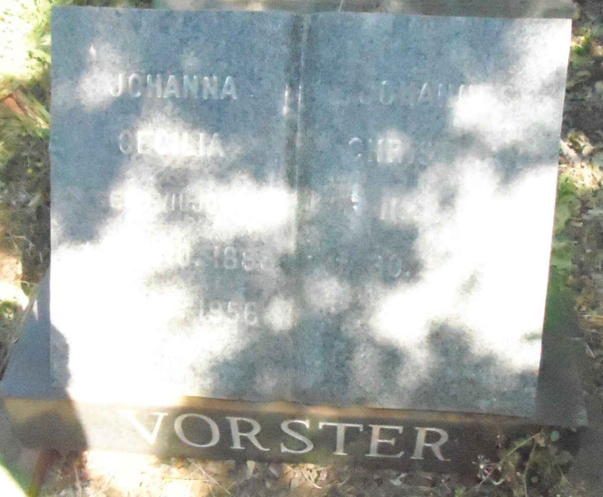 VORSTER Johannes Christiaan 1886-1965 &amp; Johanna Cecilia VILJOEN 1888-1956