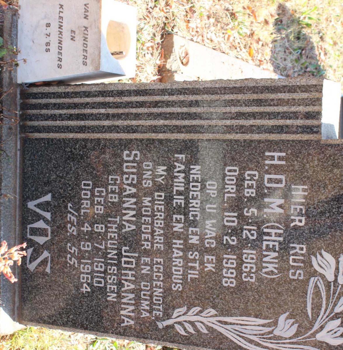 VOS Susanna Johanna nee THEUNISSEN 1910-1964 :: VOS H.D.M. 1963-1998