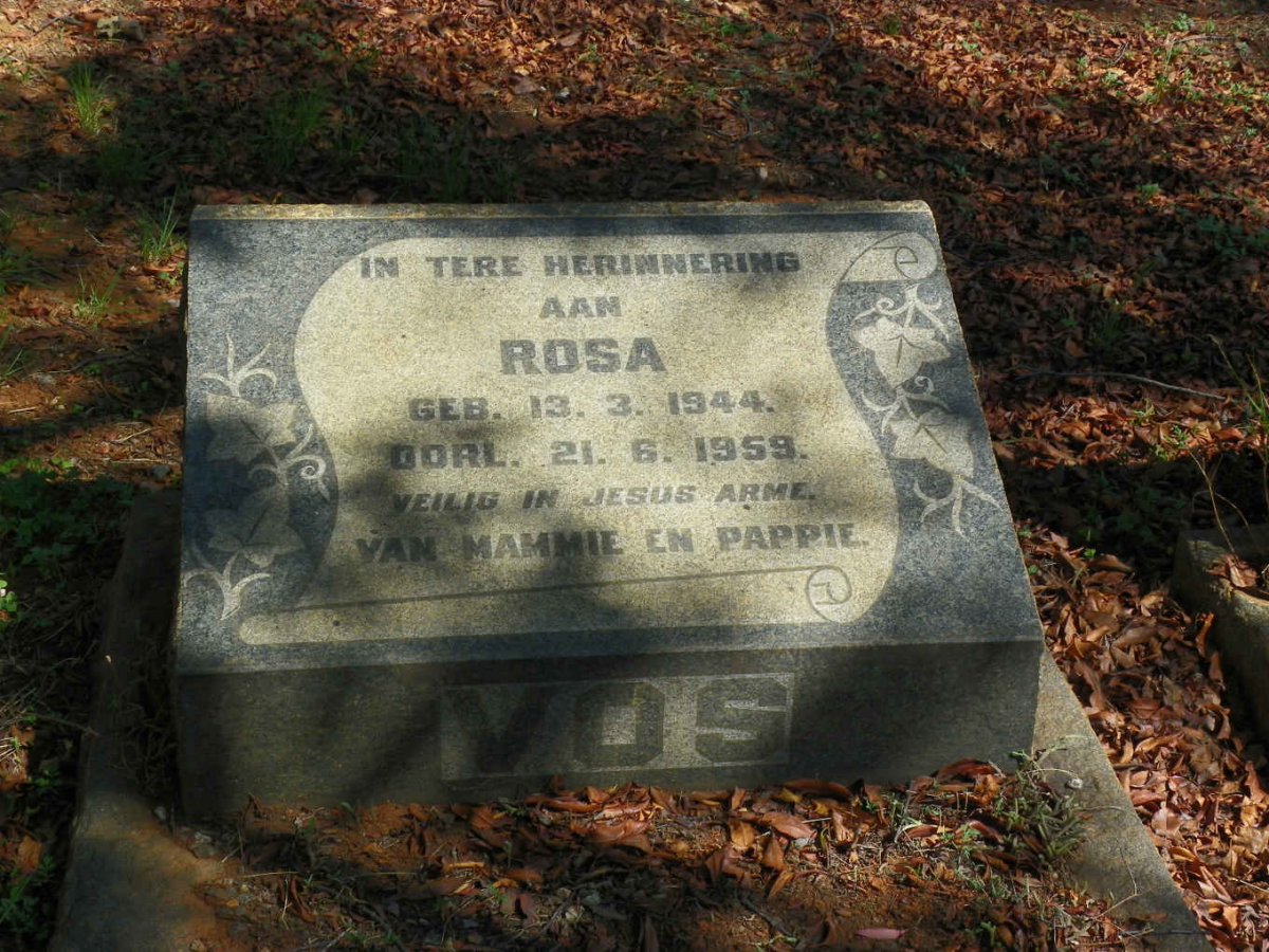 VOS Rosa 1944-1959