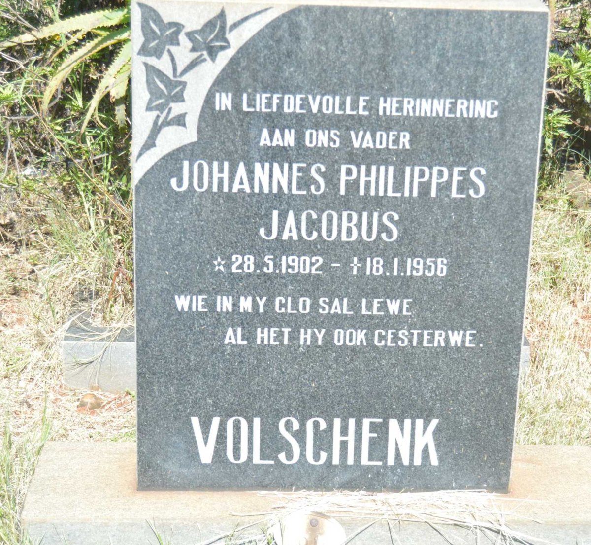 VOLSCHENK Johannes Philippes Jacobus 1902-1956
