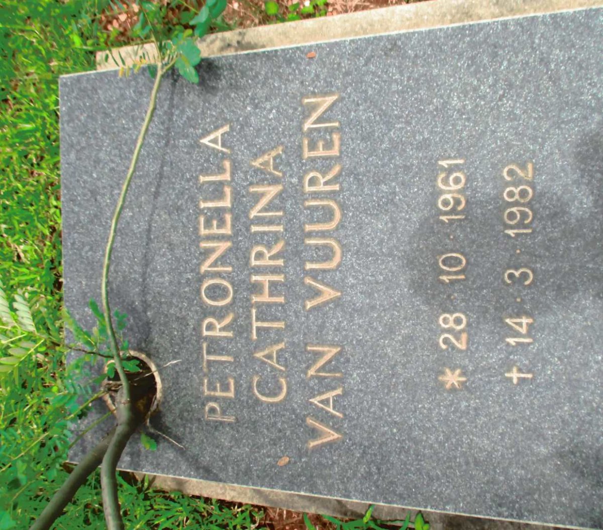 VUUREN Petronella Cathrina, van 1961-1982