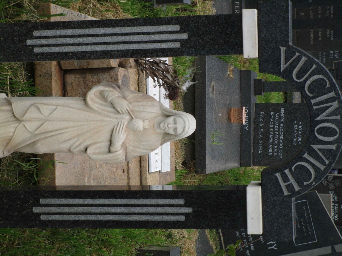 VUCINOVICH