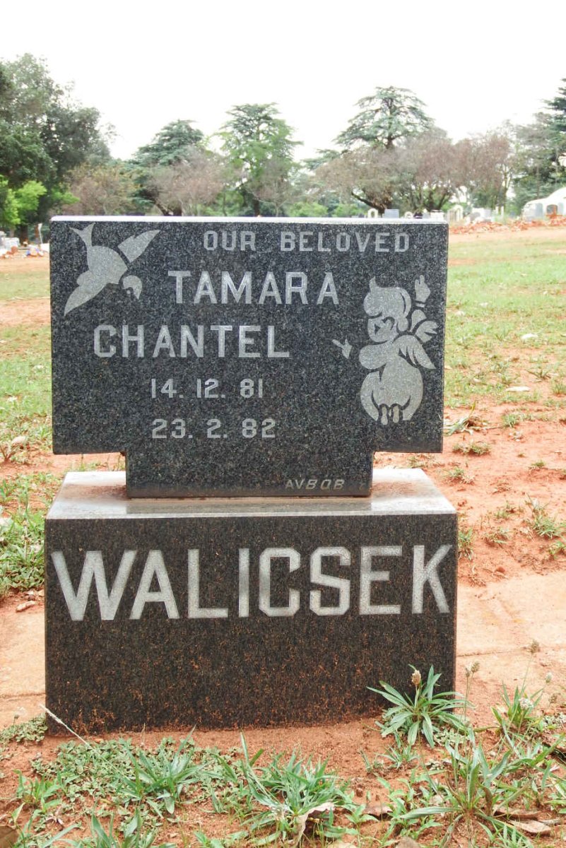 WALICSEK Tamara Chantel 1981-1982
