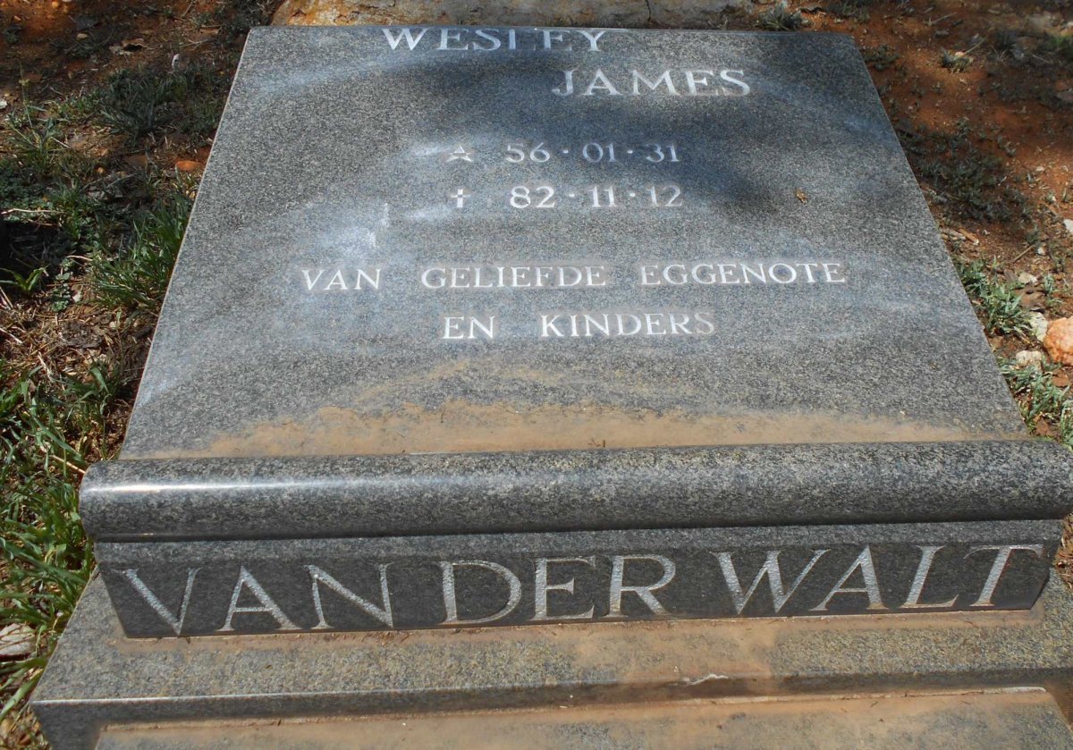 WALT Wesley James, van der 1956-1982