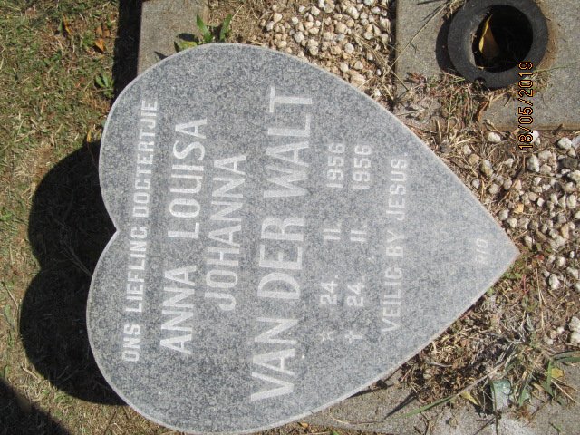 WALT Anna Louisa Johanna, van der 1956-1956