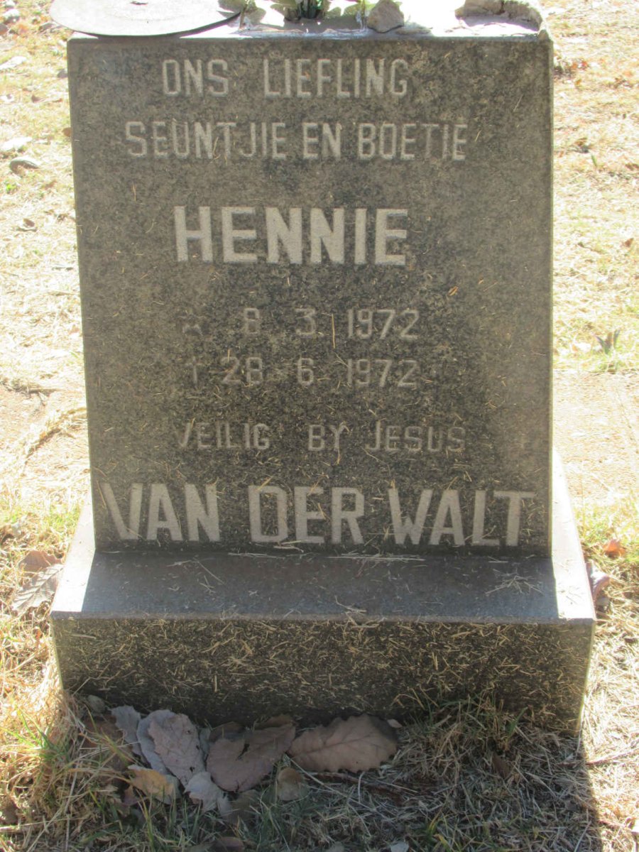 WALT Hennie, van der 1972-1972