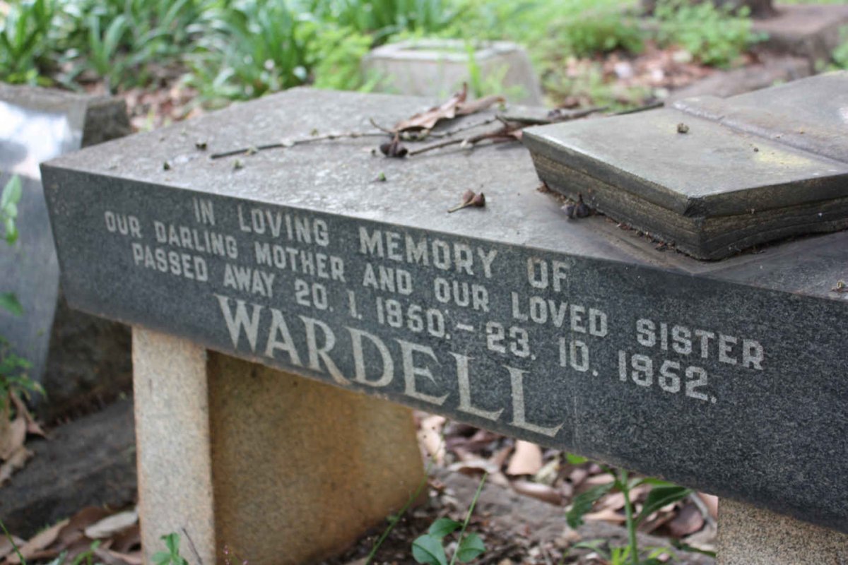 WARDELL -1950 :: WARDELL -1952