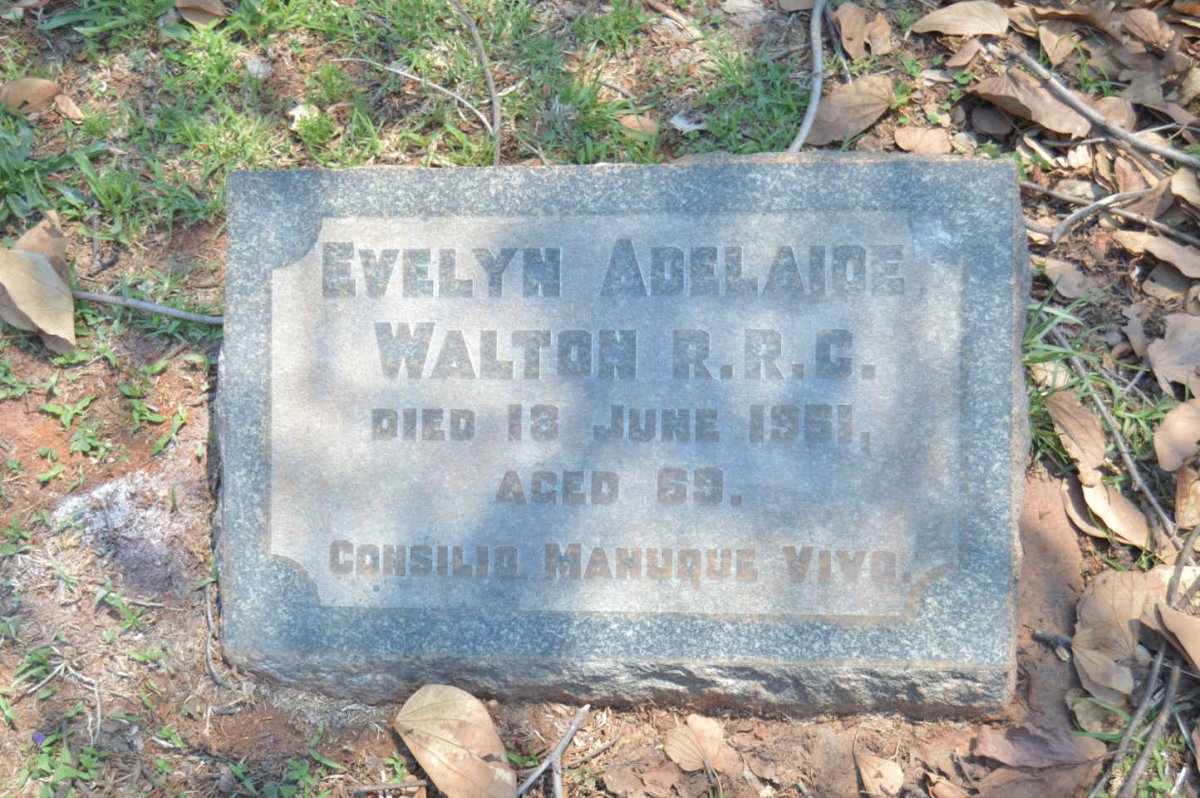 WALTON Evelyn Adelaide -1951
