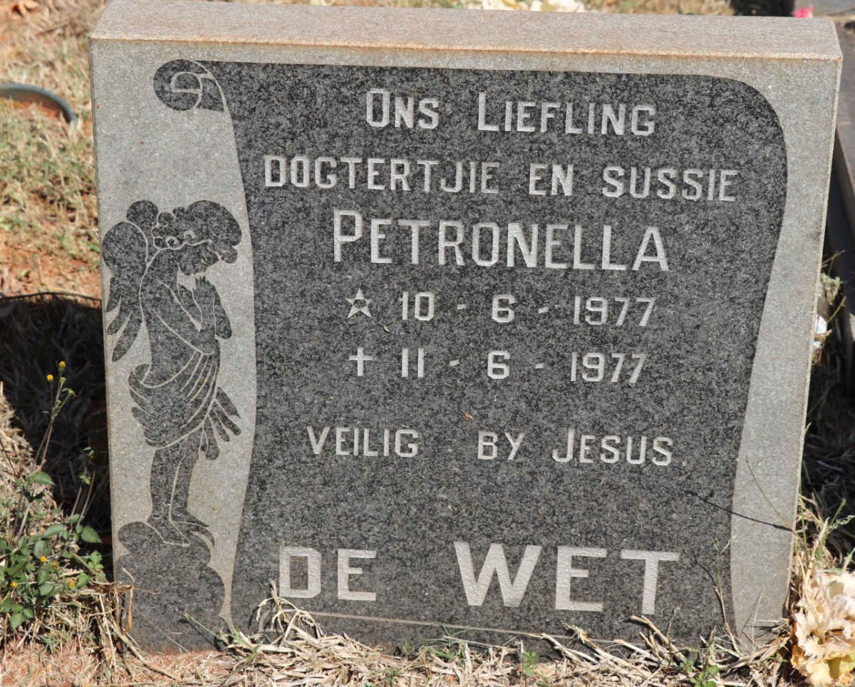 WET Petronella, de 1977-1977