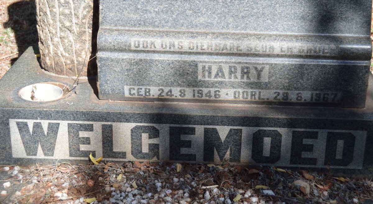 WELGEMOED Harry Burnard 1917-1958 :: WELGEMOED Harry 1946-1967