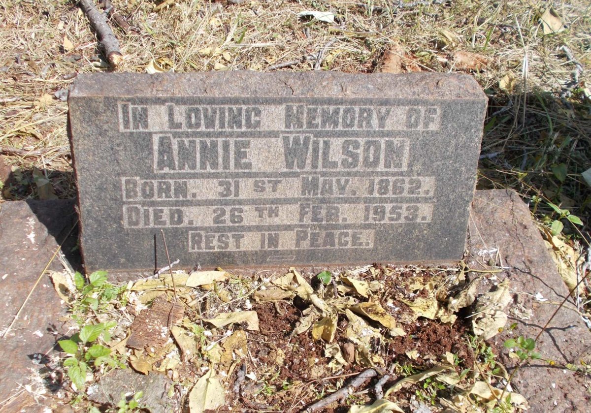 WILSON Annie 1862-1953