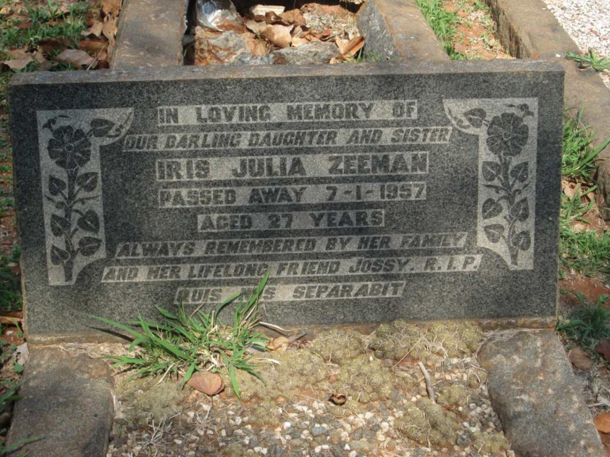 ZEEMAN Iris Julia -1957