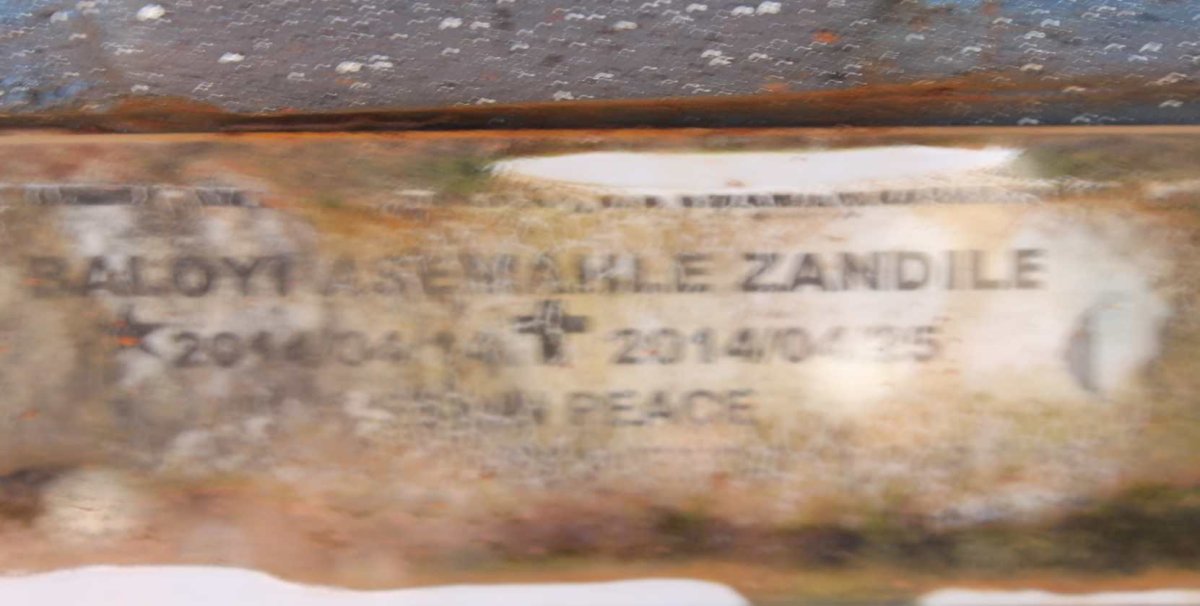 ZANDILE Baloyi Asemakhle 2014-2014
