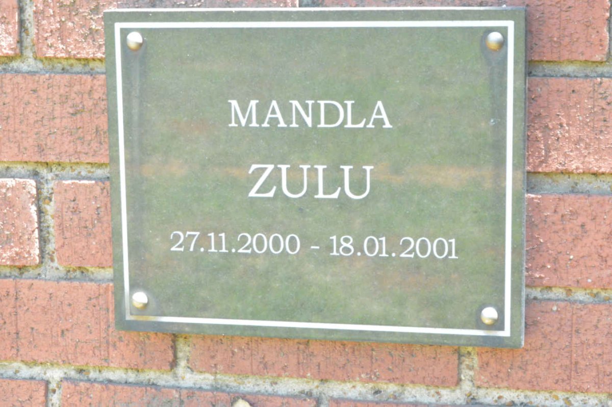 ZULU Mandla 2000-2001