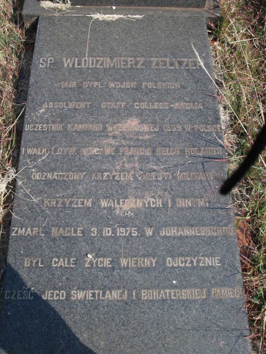 ZELTZER Wlodzimierz 1912-1975