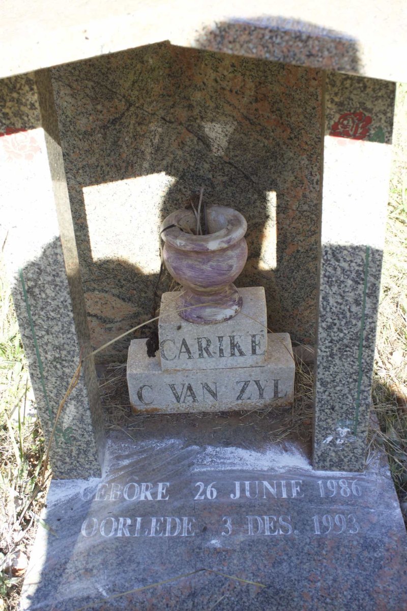 ZYL Carike C., van 1986-1993