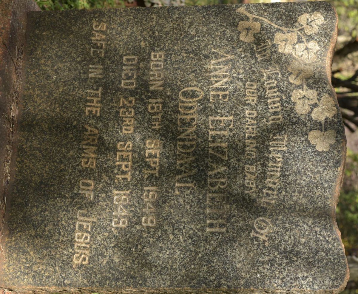 ODENDAAL Anne Elizabeth 1949-1949