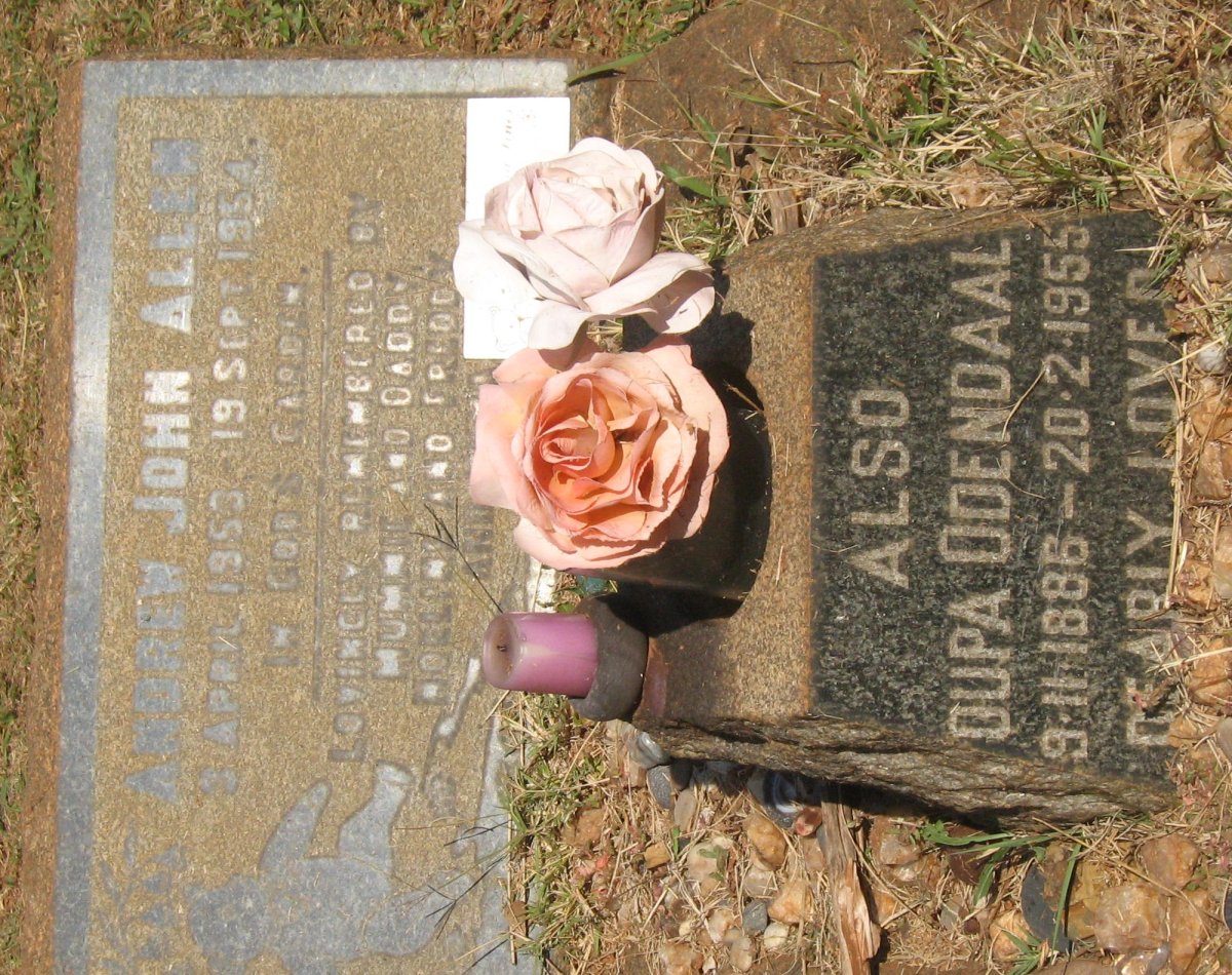 ODENDAAL Oupa 1886-1955 :: LINES Noeline Thelma 1943-2016 :: ALLEN Andrew John 1953-1954