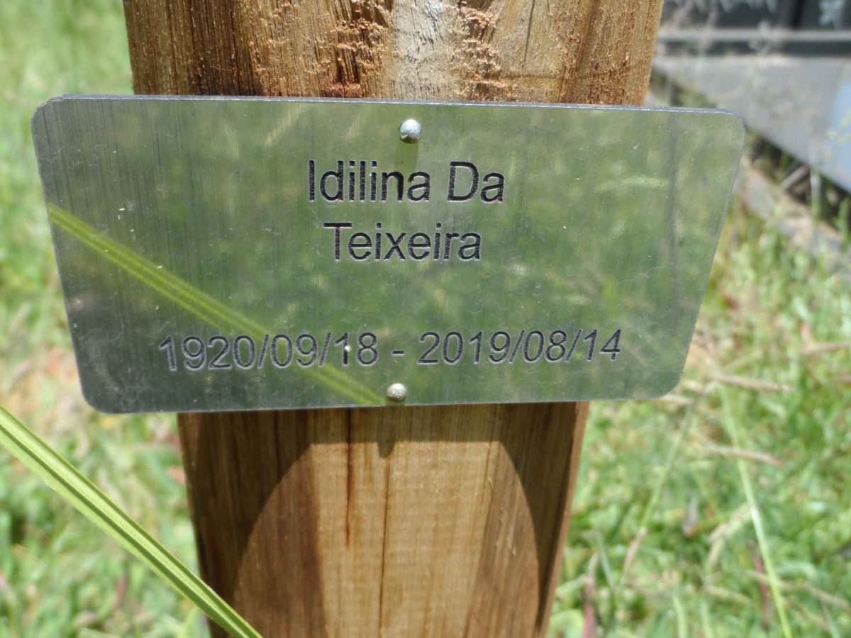TEIXEIRA Idilina, da 1920-2019