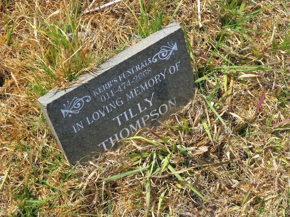 THOMPSON Tilly