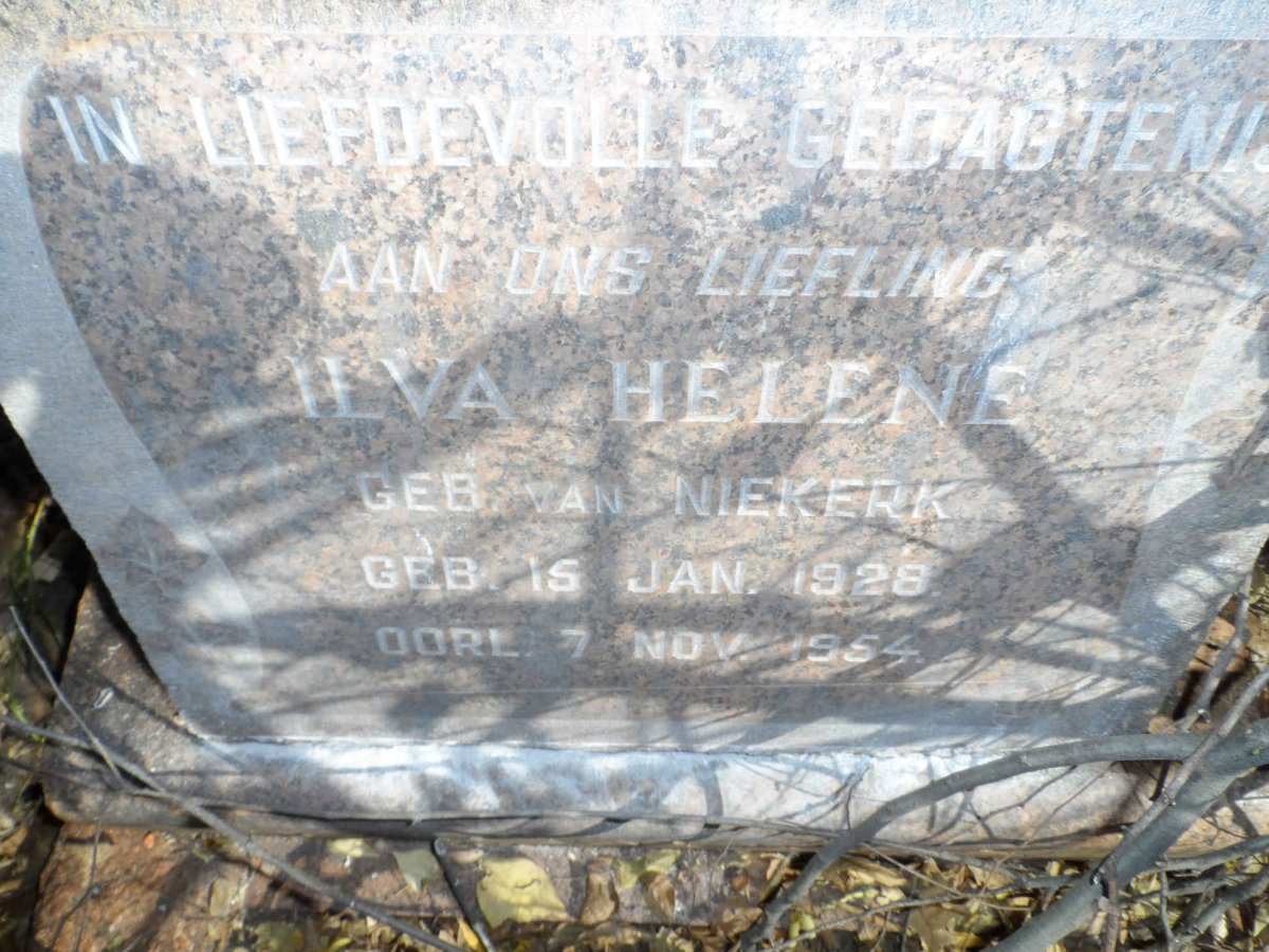 THOMSON Ilva Helene nee VAN NIEKERK 1928-1954