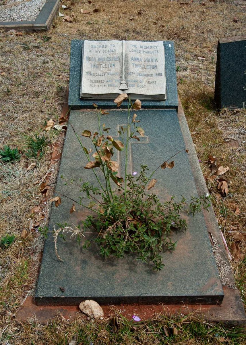THISTLETON Hugh McLester -1958 &amp; Anna Maria -1958
