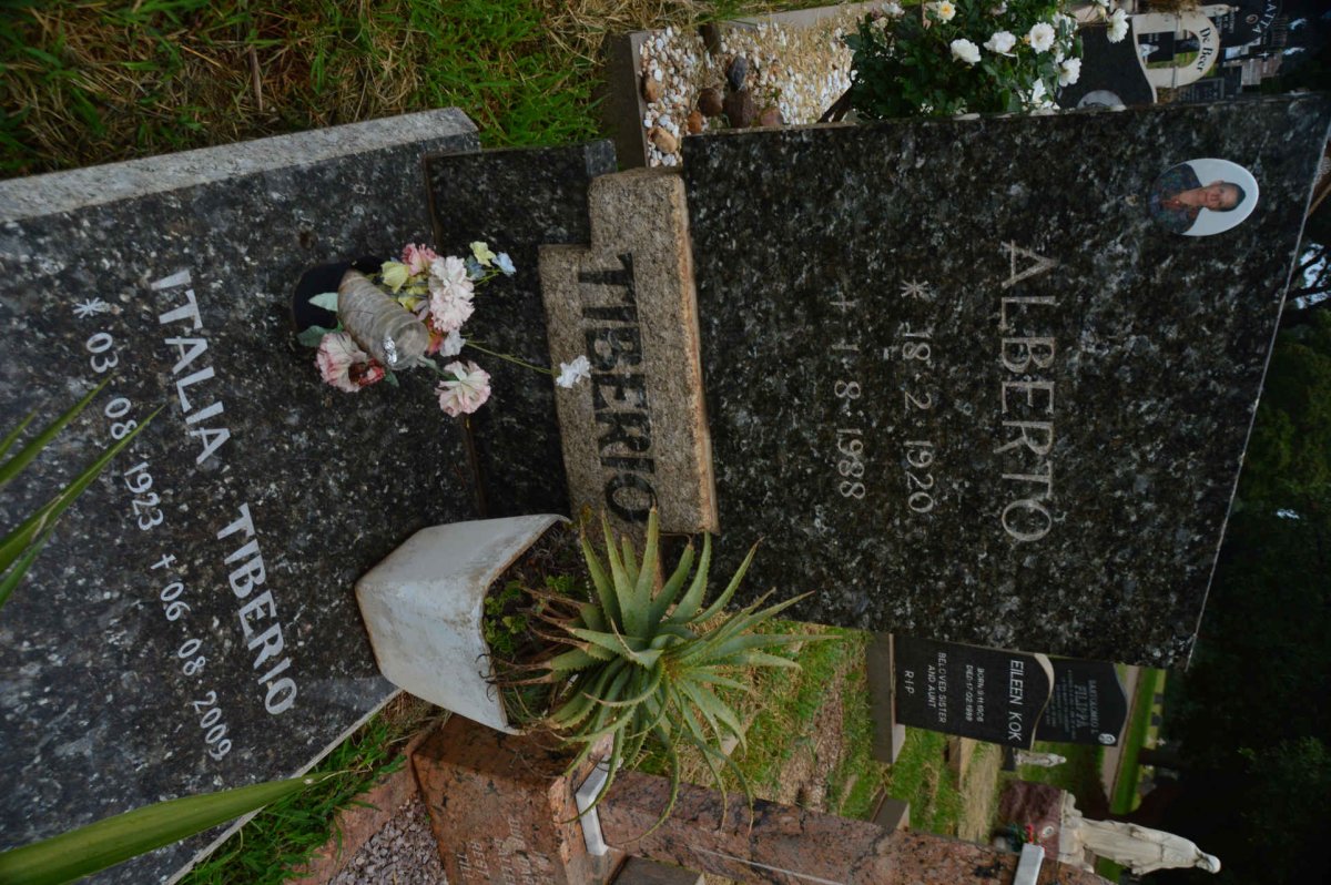 TIBERIO Alberto 1920-1988 &amp; Italia 1923-2009