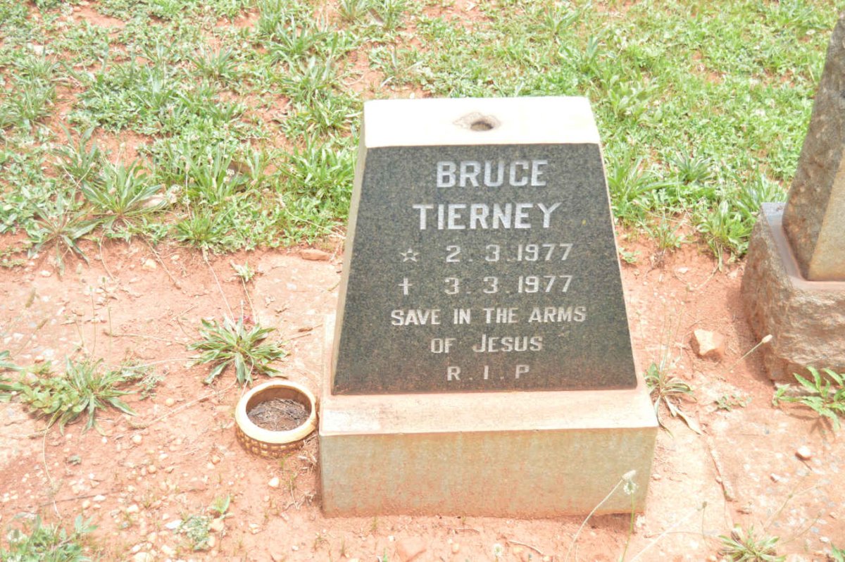 TIERNEY Bruce 1977-1977