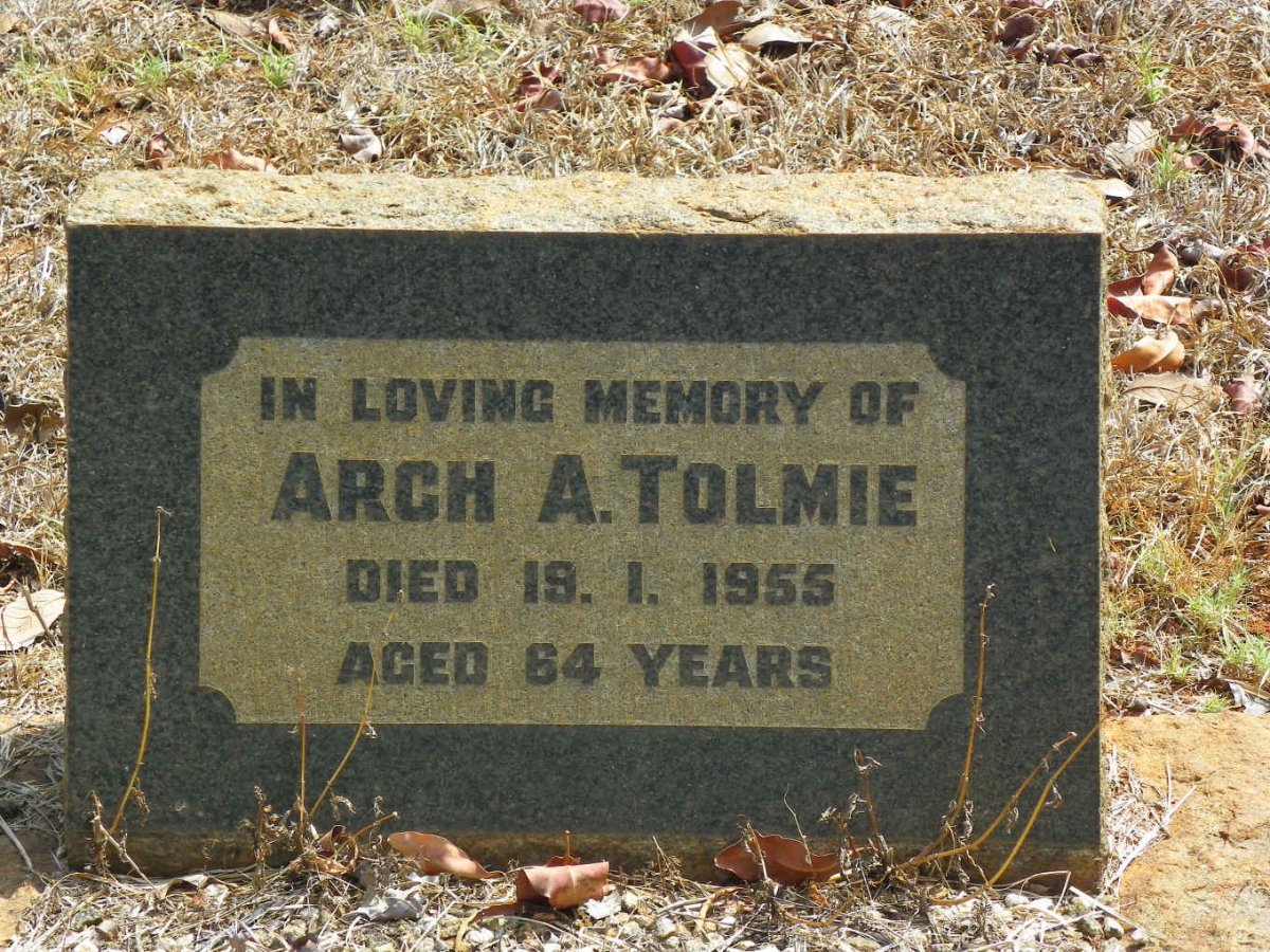 TOLMIE Arch A. -1955