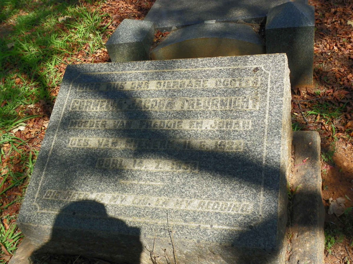 TREURNICHT Cornelia Jacoba nee VAN NIEKERK 1922-1959