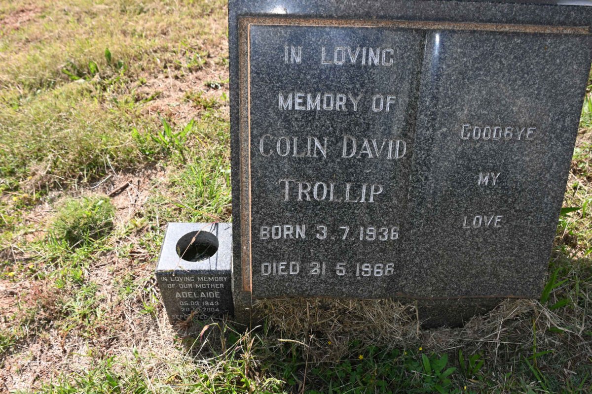 TROLLIP Colin Davin 1936-1966 &amp; Adelaide 1943-2004