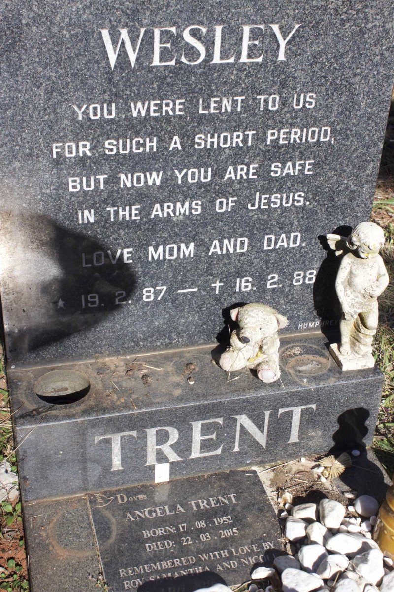 TRENT Wesley 1987-1988