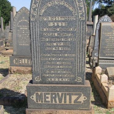 MERWITZ Sesal -1919