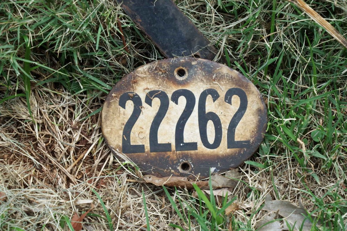 ? 22262