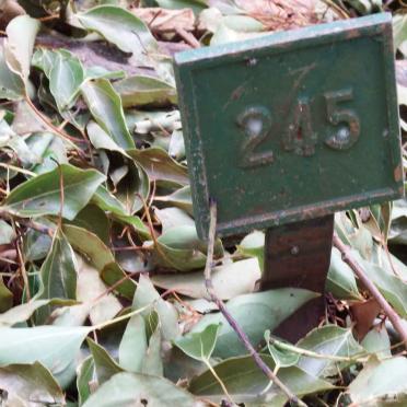 ? 245